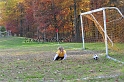 _ENI0754