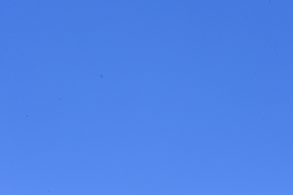 _ENI8483.JPG