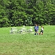 _ENI8730