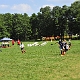 _ENI8787