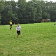 _ENI7937