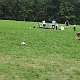 _ENI6747